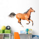 chestnut arab horse isolated on white Wall Decal