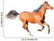 chestnut arab horse isolated on white Wall Decal