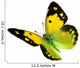 Dark Clouded Yellow (Colias croceus) in flight 