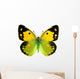 Clouded Yellow Butterfly Wall Decal