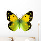 Clouded Yellow Butterfly Wall Decal