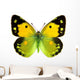 Clouded Yellow Butterfly Wall Decal