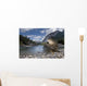Condor in Banff Natural Park, Canada Wall Mural
