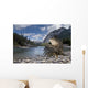 Condor in Banff Natural Park, Canada Wall Mural