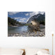 Condor in Banff Natural Park, Canada Wall Mural