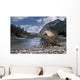 Condor in Banff Natural Park, Canada Wall Mural