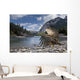 Condor in Banff Natural Park, Canada Wall Mural