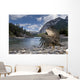 Condor in Banff Natural Park, Canada Wall Mural