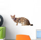 Beautiful serval (Leptailurus serval) on the white background Wall Decal