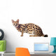 Beautiful serval (Leptailurus serval) on the white background Wall Decal