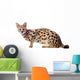Beautiful serval (Leptailurus serval) on the white background Wall Decal