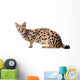 Beautiful serval (Leptailurus serval) on the white background Wall Decal