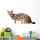 Beautiful serval (Leptailurus serval) on the white background Wall Decal