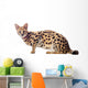 Beautiful serval (Leptailurus serval) on the white background Wall Decal