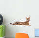Beautiful serval (Leptailurus serval) on the white background Wall Decal