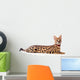 Beautiful serval (Leptailurus serval) on the white background Wall Decal