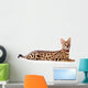Beautiful serval (Leptailurus serval) on the white background Wall Decal