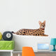 Beautiful serval (Leptailurus serval) on the white background Wall Decal