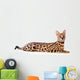 Beautiful serval (Leptailurus serval) on the white background Wall Decal