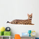 Beautiful serval (Leptailurus serval) on the white background Wall Decal
