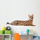 Beautiful serval (Leptailurus serval) on the white background Wall Decal