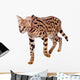 Beautiful Serval Cat Wall Decal