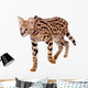 Beautiful Serval Cat Wall Decal