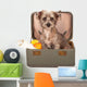 Terrier Dog in Suitcase Wall Decal