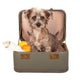 Terrier Dog in Suitcase Wall Decal