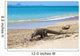 Komodo Dragon 