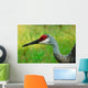 Sandhill Crane Profile Wall Mural