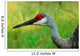 Sandhill Crane Profile Wall Mural