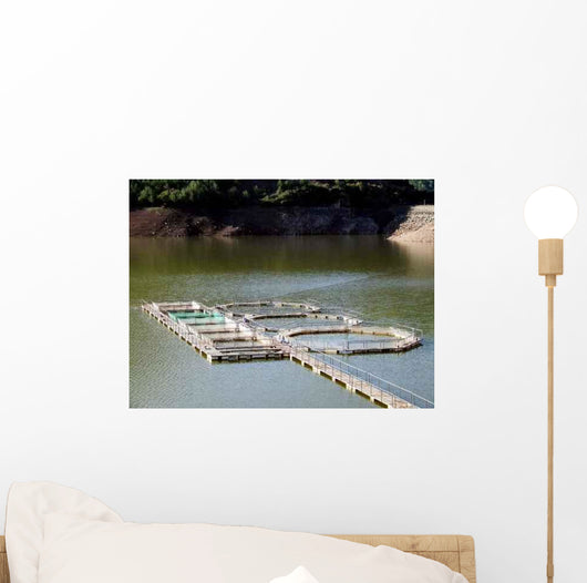 Fishing Farm Wall Decal