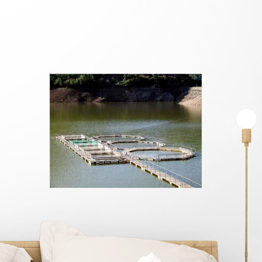 Fishing Farm Wall Decal