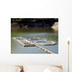 Fishing Farm Wall Decal