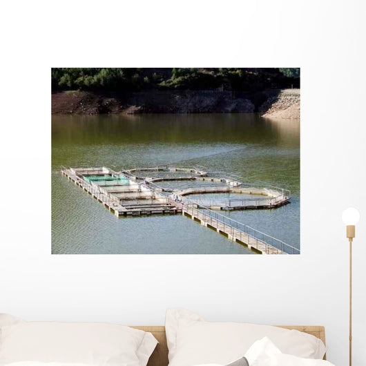 Fishing Farm Wall Decal