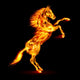 Fire horse rearing up. Wall Decal