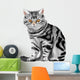Vector illustration of sitting tabby kitten Wall Decal