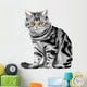 Vector illustration of sitting tabby kitten Wall Decal