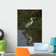 Cocoi heron, Ardea cocoi Wall Mural