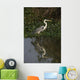 Cocoi heron, Ardea cocoi Wall Mural