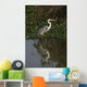 Cocoi heron, Ardea cocoi Wall Mural
