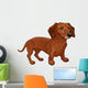 Dachshund. Wall Decal
