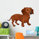 Dachshund. Wall Decal