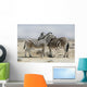 Two zebras in Etosha park in Namibia 