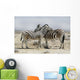 Two zebras in Etosha park in Namibia 