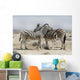 Two zebras in Etosha park in Namibia 
