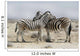 Two zebras in Etosha park in Namibia 