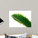 bottle palm leaf Wall Decal