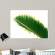 bottle palm leaf Wall Decal